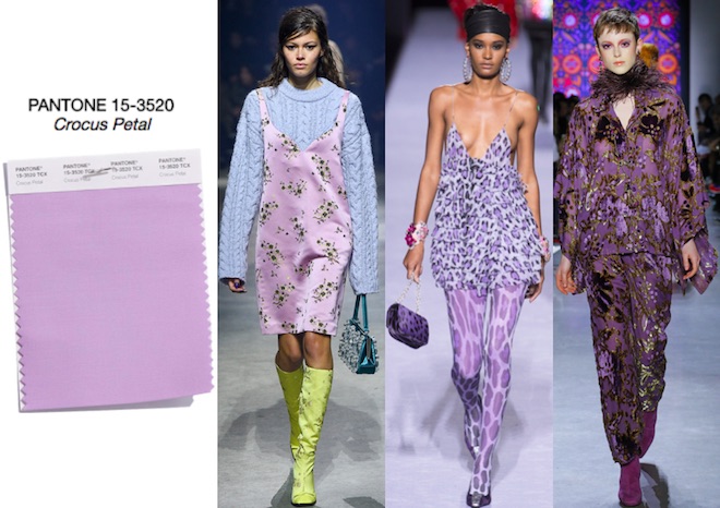 colores-de-moda-invierno-2018-Crocus-Petal